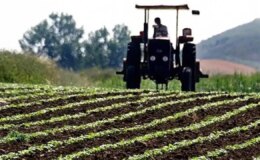 Tarımsal destek ödemeleri yattı mı? Çiftçi destek ödemeleri nereden, nasıl öğrenilir?