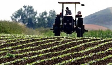 Tarımsal destek ödemeleri yattı mı? Çiftçi destek ödemeleri nereden, nasıl öğrenilir?