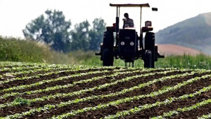 Tarımsal destek ödemeleri yattı mı? Çiftçi destek ödemeleri nereden, nasıl öğrenilir?