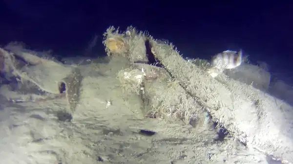 THY’nin 50 yıl önce düşen uçağının enkazından yeni parçalar bulundu