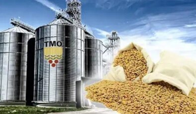 TMO depolarında skandal! Milyonlarca liralık hububat vurgunu…