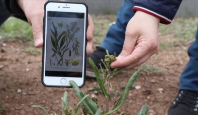 Tüketicilere güvenli ürünler için ticari adlarda düzenleme