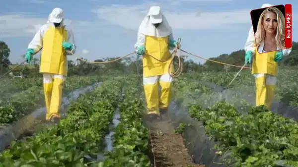 Türkiye pestisitte alarm veriyor: AB sınırlarında ikinci sırada