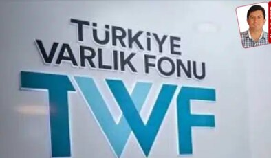 Türkiye Varlık Fonu veya kurduğu şirketlerin satın aldıkları şirketler, fonlar ve bağlı ortaklıklar, kamuya ait düzenlemelere tabi olmayacak: ‘Ayrıcalıklı’ şirketler!