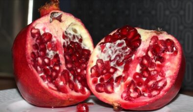 Türkiye’den en fazla nar ihracatı Almanya’ya yapıldı