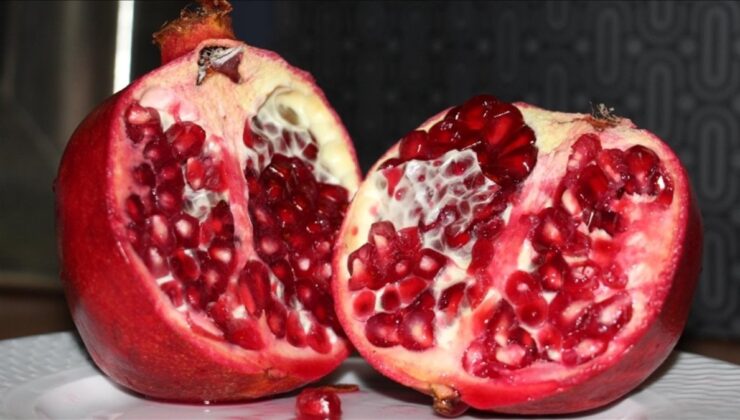 Türkiye’den en fazla nar ihracatı Almanya’ya yapıldı