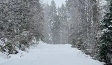 Türkiye’nin en yüksek kar kalınlığı Düzce’de ölçüldü