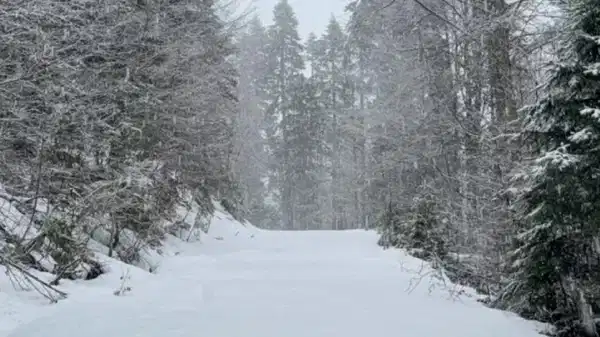Türkiye’nin en yüksek kar kalınlığı Düzce’de ölçüldü
