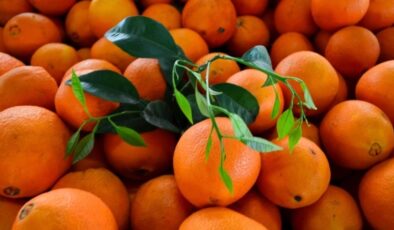 Türkiye’nin narenciye geliri 1,4 milyar doları aştı