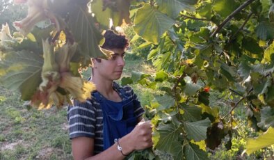 Uludağ eteklerinde yetişiyor: Karadeniz’e rakip…