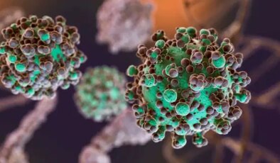 Uzmanından kritik ‘Nipah virüsü’ uyarısı: ‘Tablo çok ağır seyredebilir’