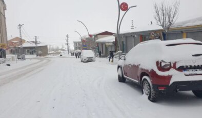 Van’da 90 yerleşim yerinin yolu kardan kapandı!