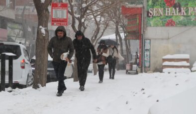 Van’da kar esareti: 625 yerleşim yeri ulaşıma kapandı