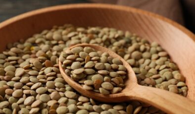 Yeşil mercimeğin gerçek besin profili