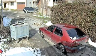 Yolda yatarken otomobilin ezdiği köpeğin, daha önce tüfekle de vurulduğu ortaya çıktı