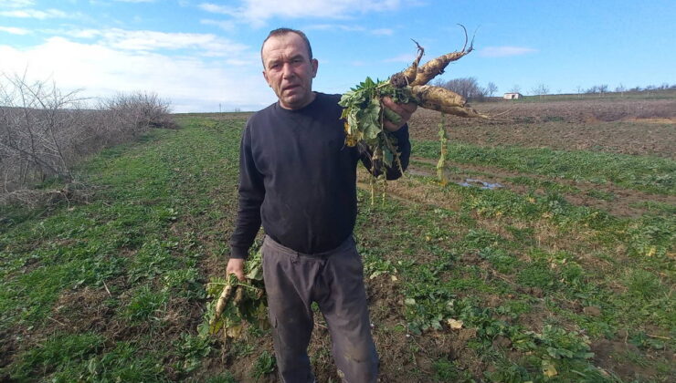 200 metrelik alanda dört mevsim üretim yapıyorlar