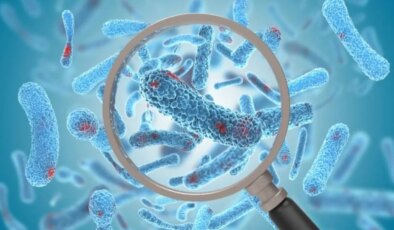 5 bin yıllık buzda bulunan bakteriler ‘modern antibiyotiğe’ dirençli çıktı