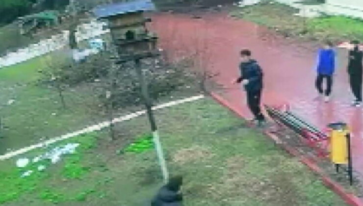 Adana’da kuş yuvasına zarar veren 4 çocuğa ev hapsi verildi