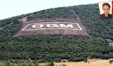 Ağaca ‘barkod’ vuruldu, ‘tasarruf tedbiri’ unutuldu: 186 yıllık sistem değişiyor, 450 milyonluk harcama yapılacak