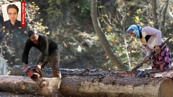 AKP, orman köylülerini ormandan tasfiye ediyor: ‘Çok üretmeyi ihanet sayarız’