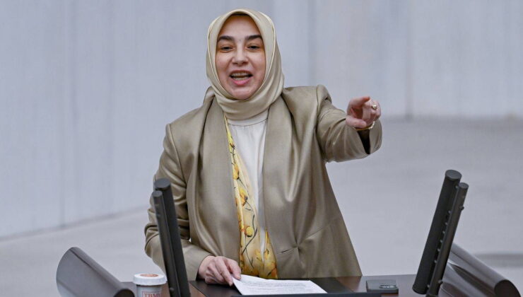 AKP’li Özlem Zengin’den muhalefete gönderme… Emeklileri gündeme getirmek reyting ve tweet malzemesiymiş!