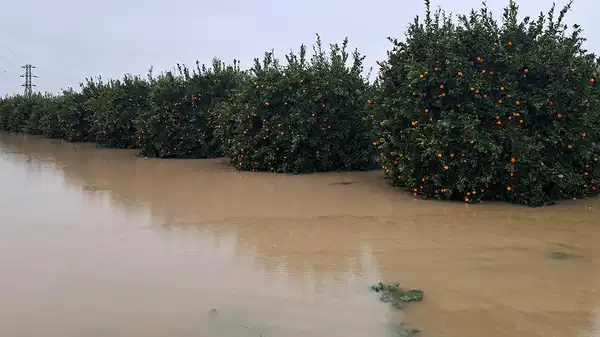 Antalya neden göle döndü? İklim değişikliği değil, plansız kentleşme