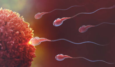 Araştırma: Sperm kalitesi yazın zirvede, kışın en düşük seviyede