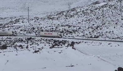 Ardahan-Çıldır yolunda buzlanma: Çok sayıda TIR yolda kaldı