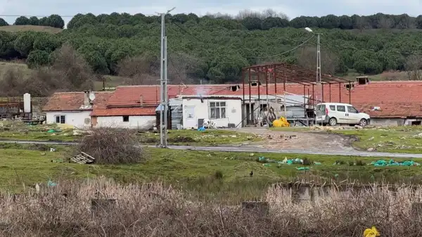 Arnavutköy’de elektrikli testereli saldırı! Çiftlik evinde dehşet