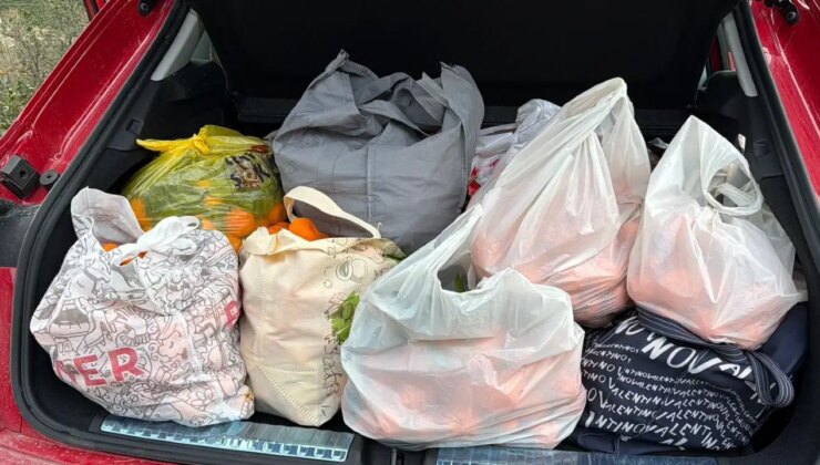 Artvin’de hasat bereketi: Poşet yetmedi, araçların içi doldu taştı