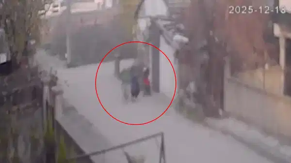 Bebek arabasındaki altınları çalmıştı: 45 gün sonra yakalandı