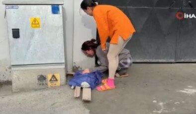 Beyoğlu’nda yangında ölen kedisinin başında sinir krizi geçirdi