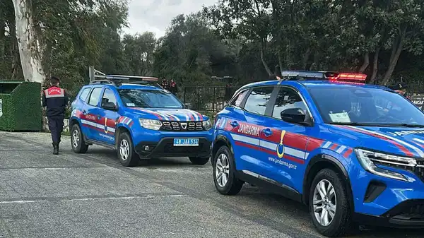 Bodrum’da 2 köpek tüfekle vurularak öldürüldü: 1 gözaltı