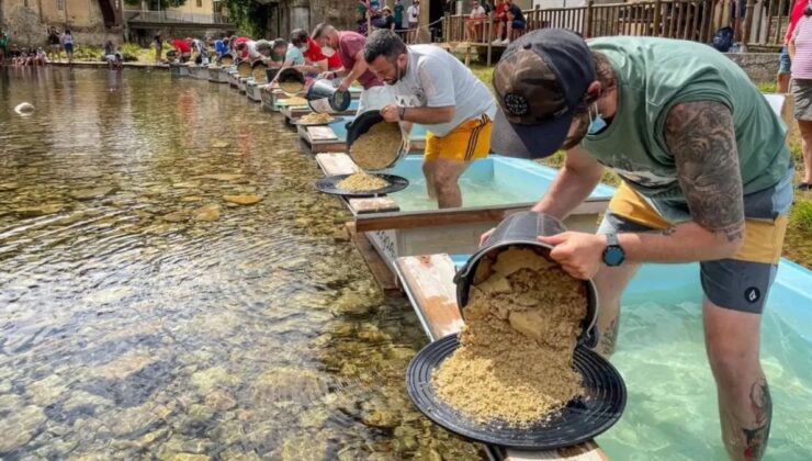 Bu nehirden altın akıyor; Giden kova kova topluyor…