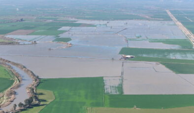 Büyük Menderes Nehri taştı, yüzlerce dönüm tarım arazisi sular altında kaldı!