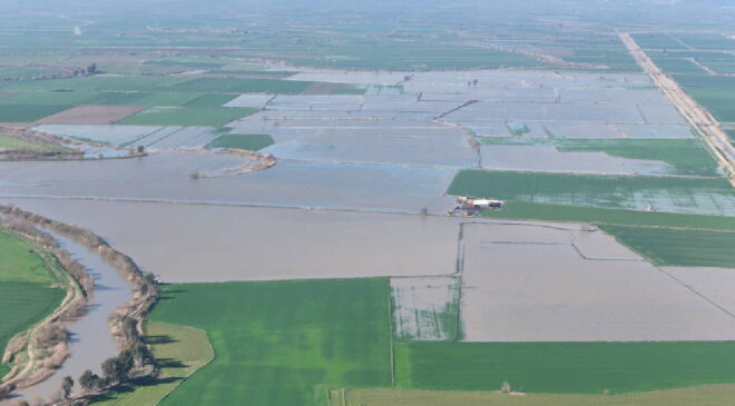 Büyük Menderes Nehri taştı, yüzlerce dönüm tarım arazisi sular altında kaldı!