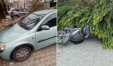Çanakkale’de fırtına: Ağaçlar devrildi, balkon duvarı yıkıldı