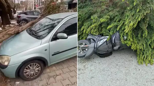 Çanakkale’de fırtına: Ağaçlar devrildi, balkon duvarı yıkıldı
