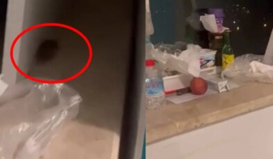 CHP Muğla Milletvekili Uzun, Eğitim ve Araştırma Hastanesi’ndeki fare skandalını Meclis’e taşıdı
