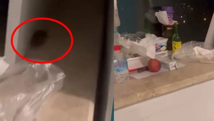 CHP Muğla Milletvekili Uzun, Eğitim ve Araştırma Hastanesi’ndeki fare skandalını Meclis’e taşıdı