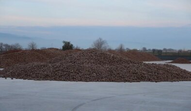 Değeri altınla yarışıyor: Bölgenin geçim kaynağı…