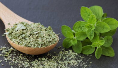 Doğal çözüm arayanların gözdesi: Aromatik yapısıyla sindirimden bağışıklığa vücudu destekleyen mucize bitki