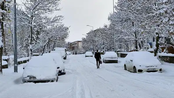Erzurum’da kar yağışı: 775 mahalle yolu kapandı