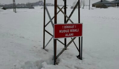 Eşekte kuduz tespit edildi: Köy karantinaya alındı