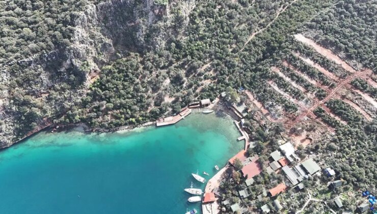 Eski bakanın kiraladığı araziye ulaşmak için yol açılmasına izin verildi: Kaş’ta talana devam!