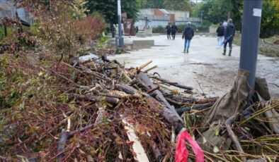 Fransa’da hortum yaklaşık 200 eve zarar verdi