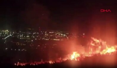 Hatay İskenderun’da orman yangını!
