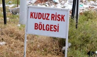 Hatay’da 4 mahalle ‘kuduz risk bölgesi’ ilan edildi!