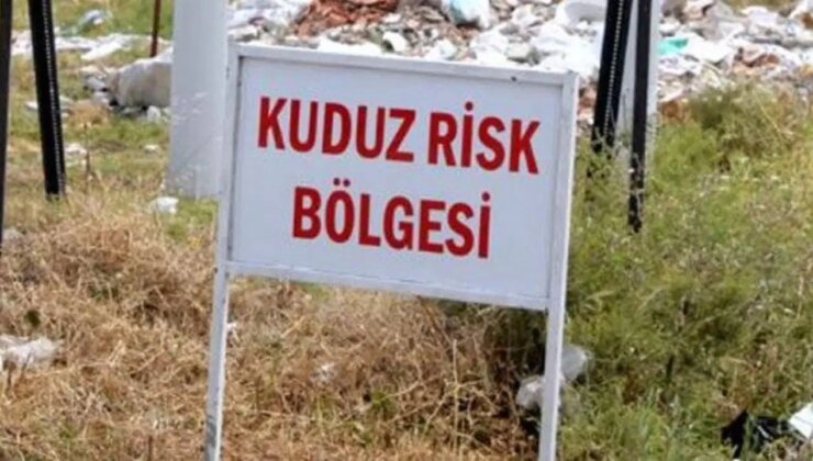 Hatay’da 4 mahalle ‘kuduz risk bölgesi’ ilan edildi!