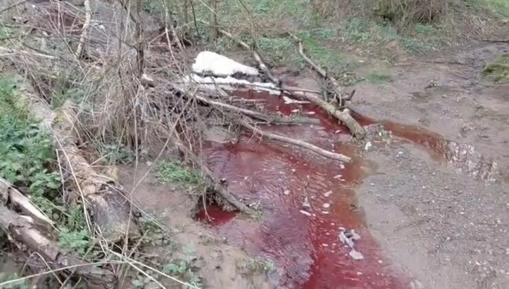 İstanbul’da tedirgin eden görüntü: Dere kırmızı renkte akıyor!
